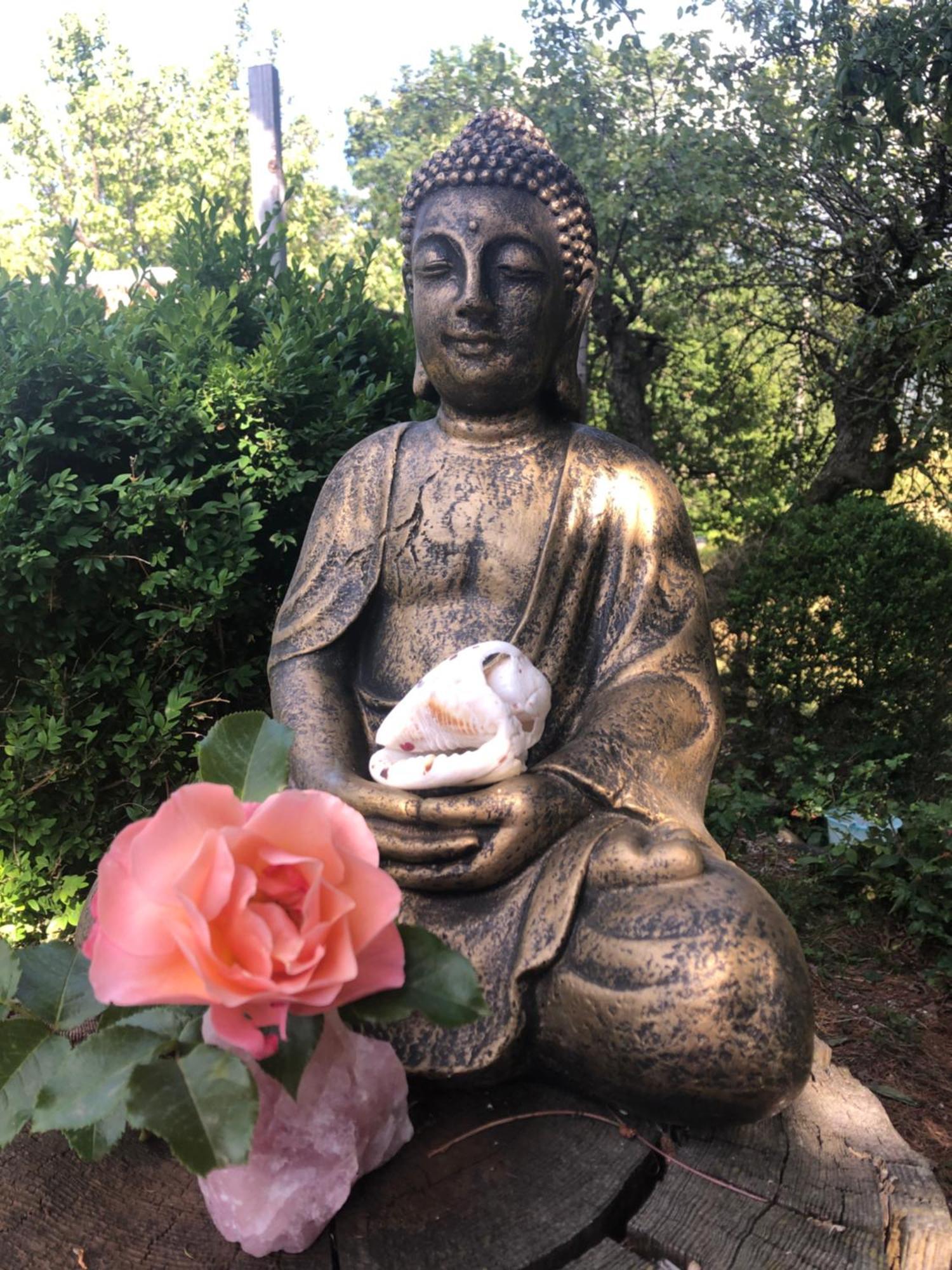 毕尔优薇酒庄住宿加早餐旅馆 Vex 外观 照片